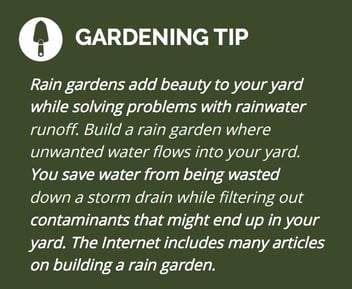 gardening tips