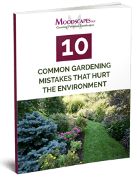 Common-Garening-Mistakes-that-Hurt-the-Environment-cover