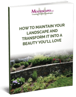 maintain-and-transform-cover