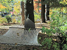 contemplation-area-with-hammock