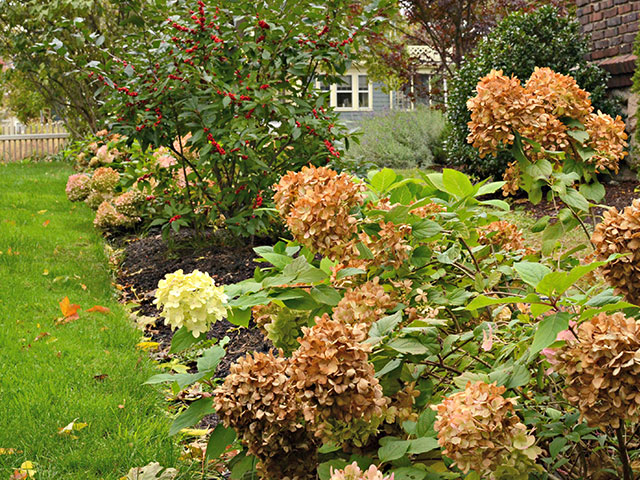Fall-landscape-plantings