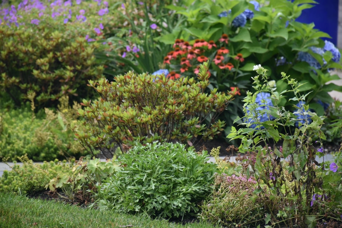 3-featured-landscape-design