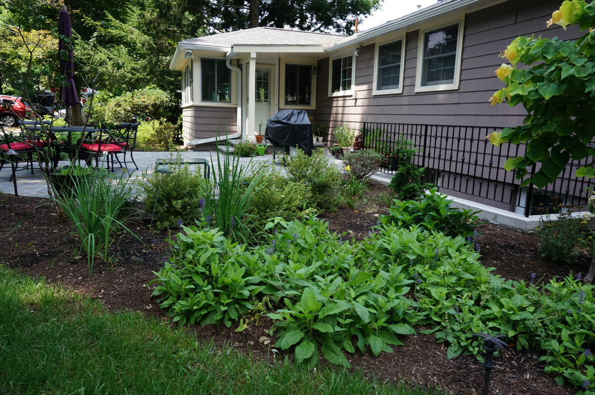 edge-of-patio-house