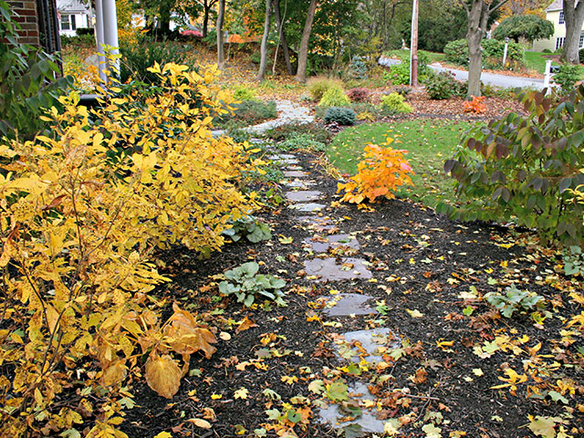 fall-strolling-garden