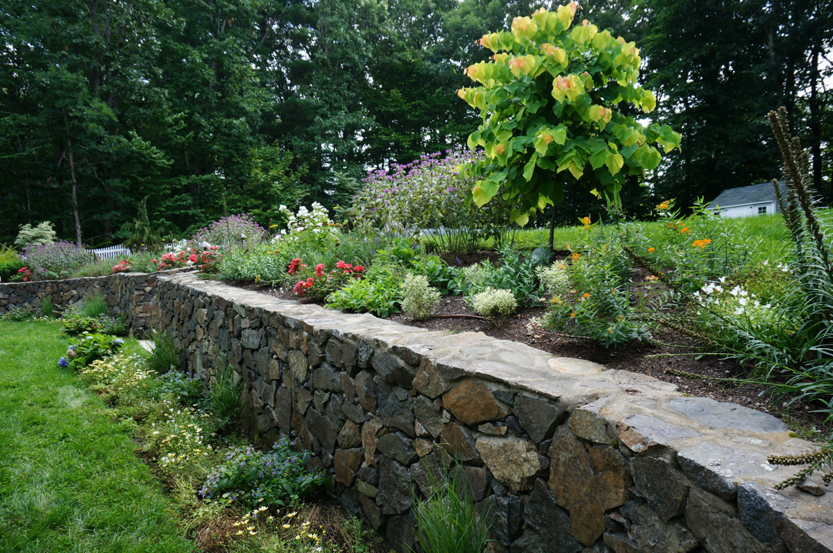 terraced-landscape-1
