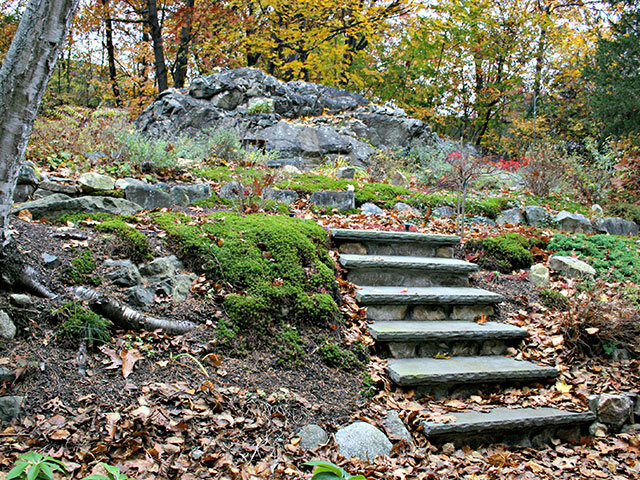 terraced-woodland-area