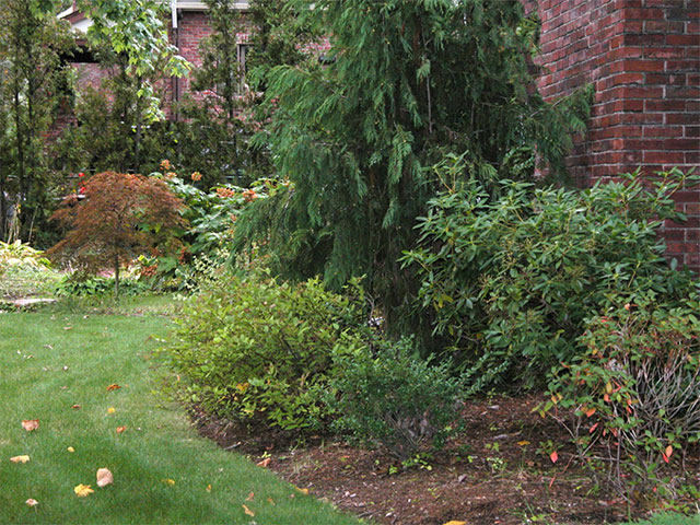 contrasting-colored-plantings
