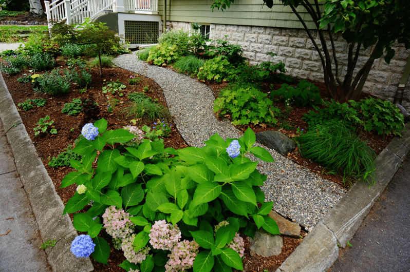 landscape design tips