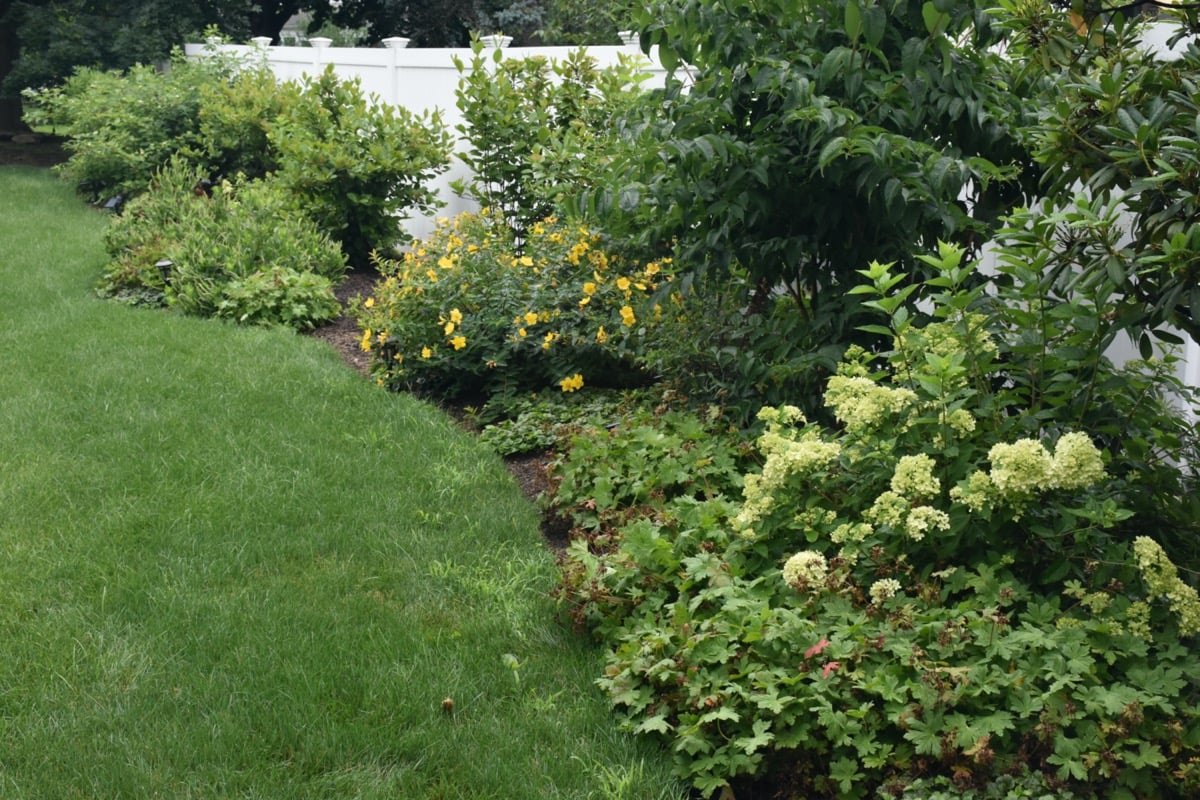3-welcoming-front-yard