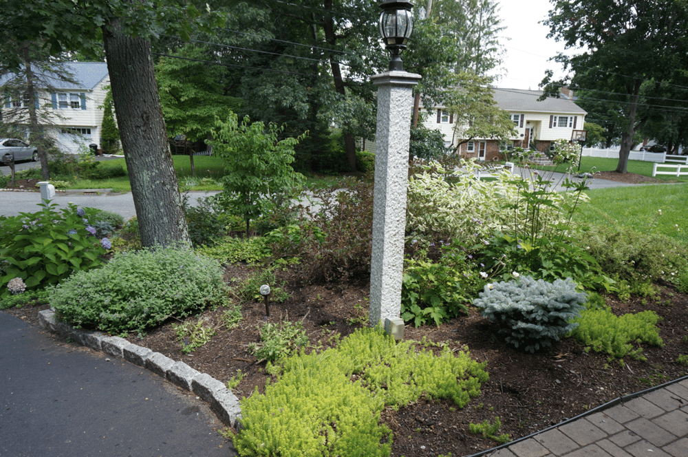 welcoming-front-yard-2