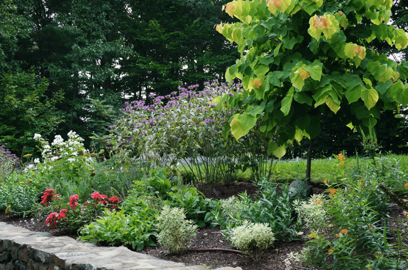 backyard landscape flowers sustainable