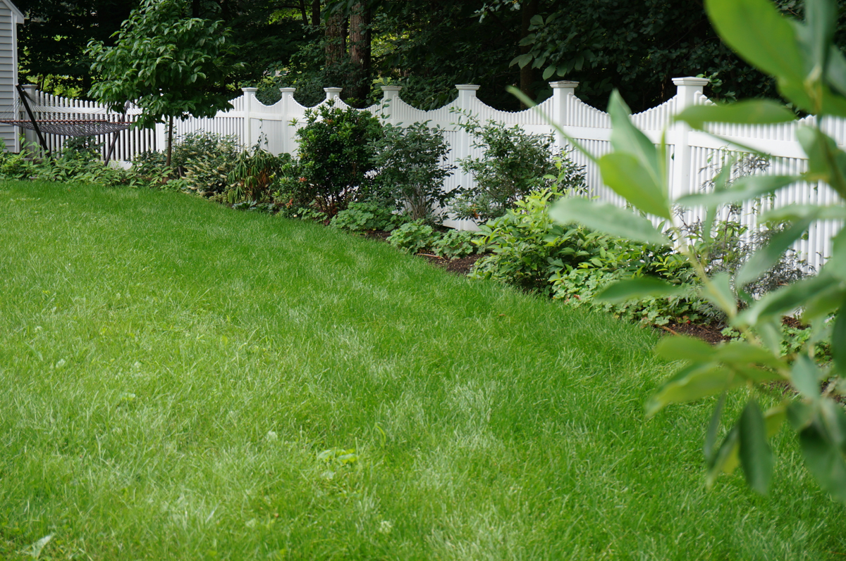 backyard-oasis-flowers-fence