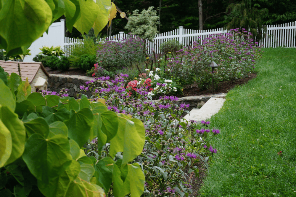 backyard-oasis-flowers