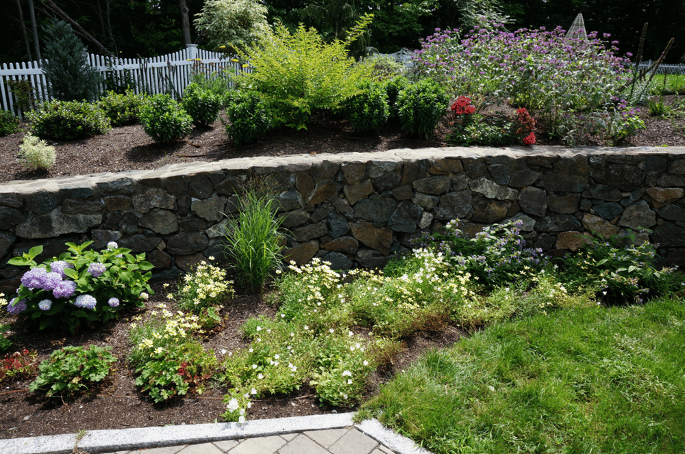 oasis-wall-flowers-fence