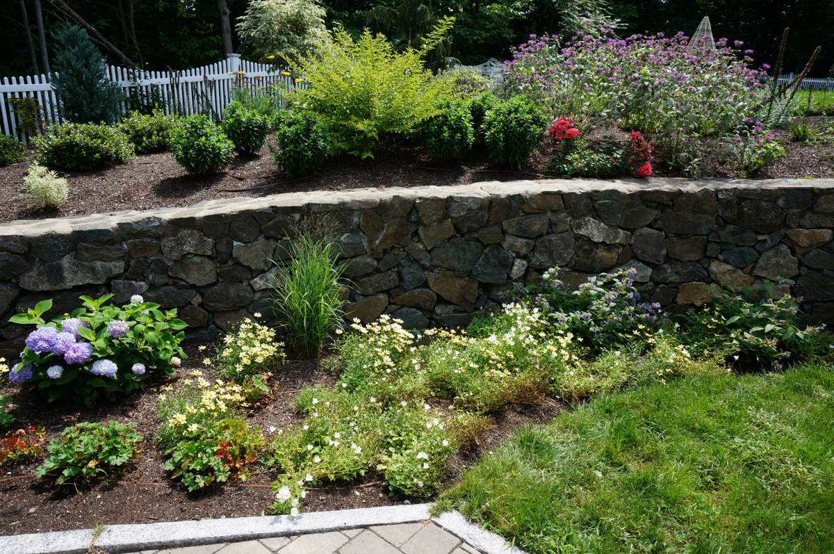 oasis-wall-flowers-fence