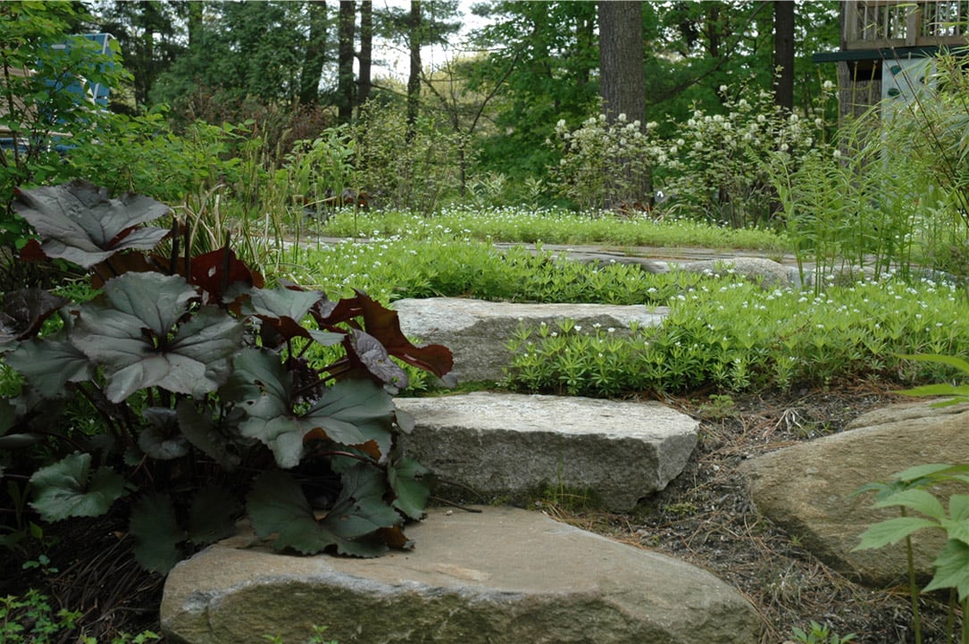 Moodscape Design Landscape Design & Maintenance In Arlington, MA | Moodscapes