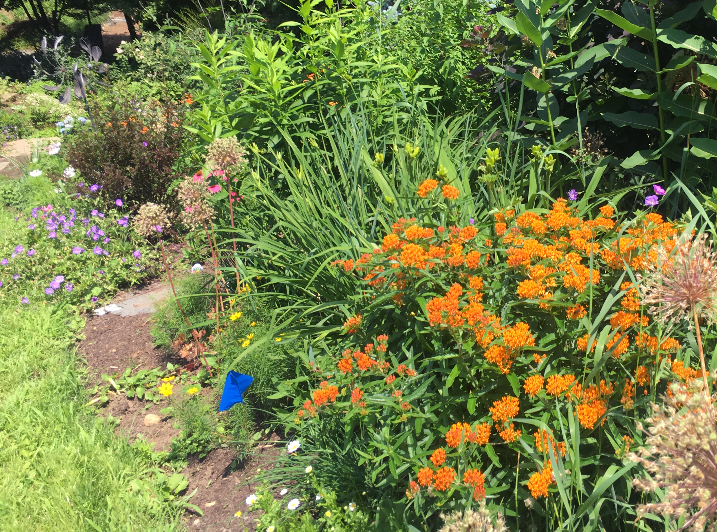 pollinator_garden_newsletter-1