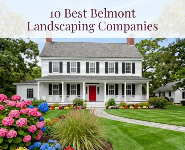 Belmont, MA Landscaping: 10 Best Companies Compared (2026)
