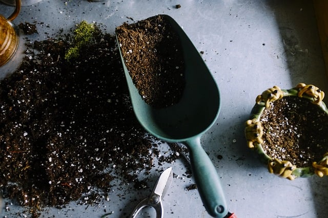 gardening soil care