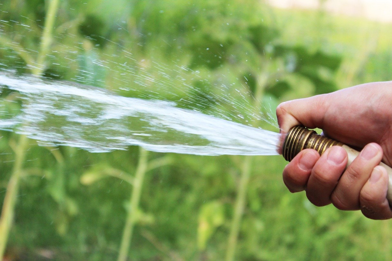 3 Tips for Conserving Water in Your Home Landscape Design