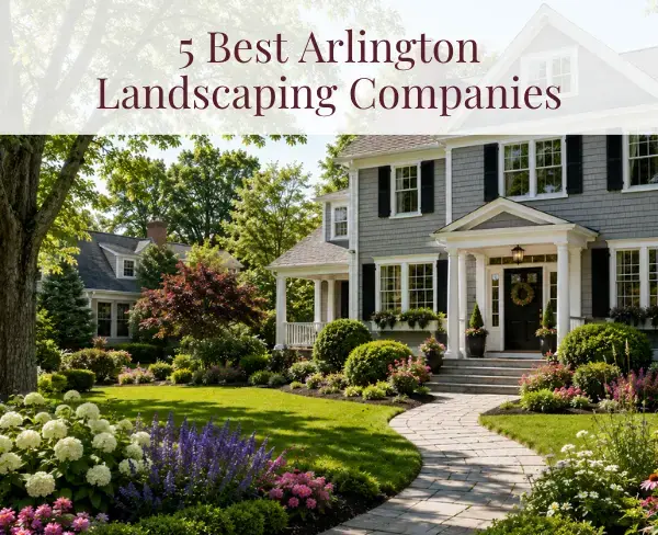 Arlington, MA Landscaping Companies: Top 5 Compared (2026)