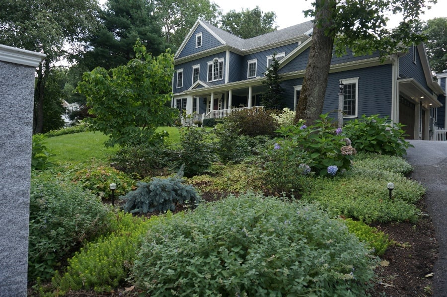 Why Landscape Design is Important and How Professionals Can Help