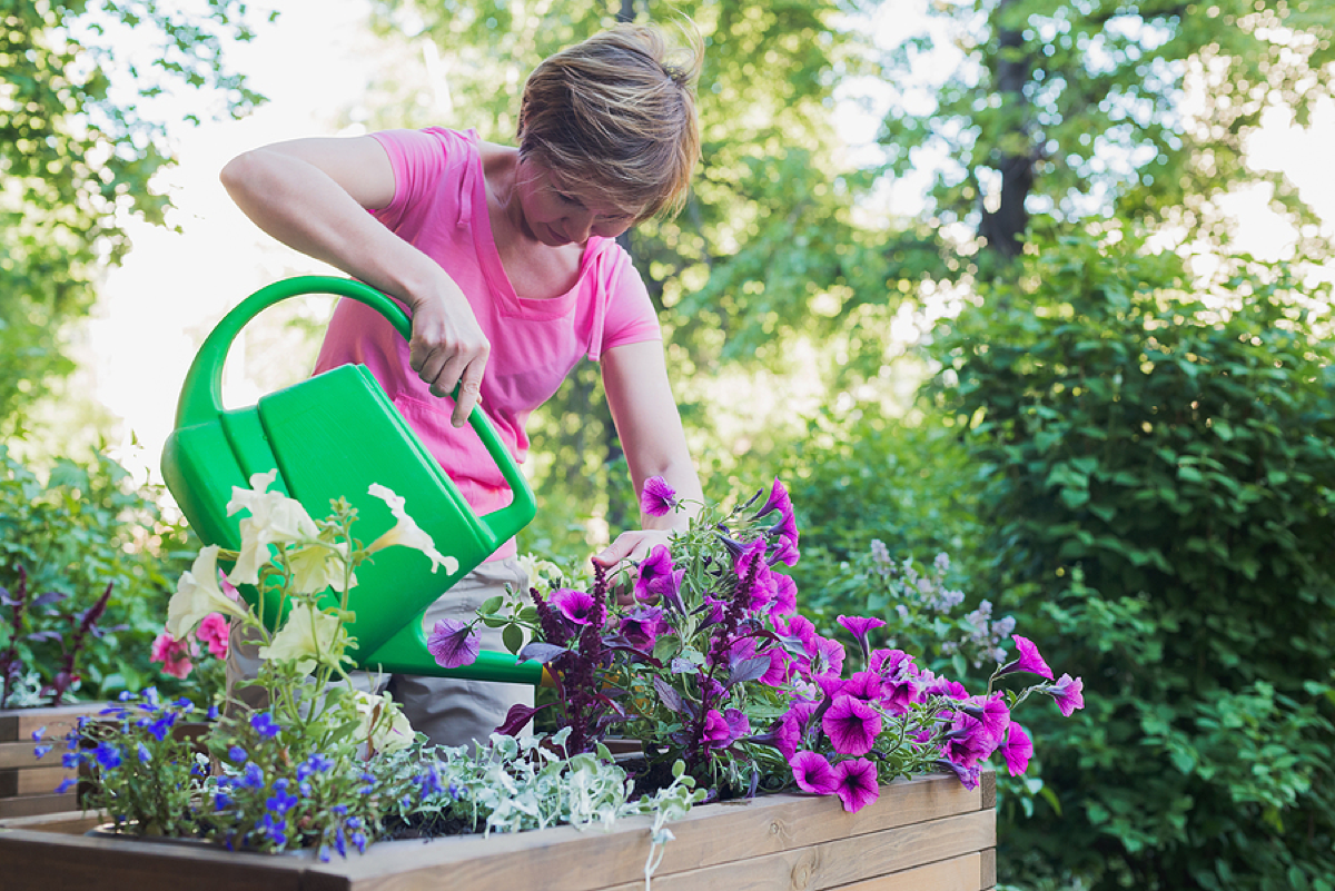 Container Gardening Ideas