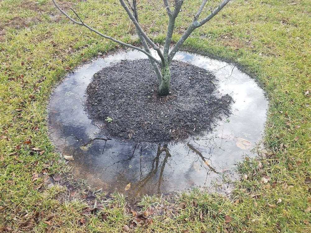 Erosion and Drainage Solutions to Protect Your Yard from Water Damage