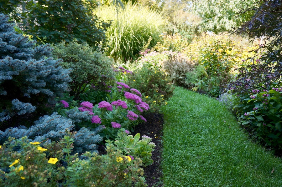 Why sustainable landscaping will protect the environment