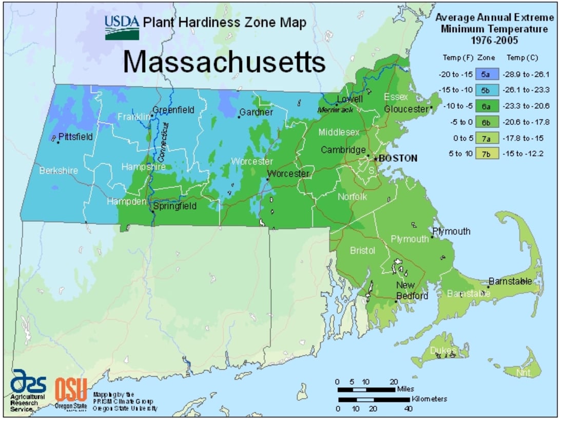 5 Ways Climate Change Impacts the Landscape and Growing