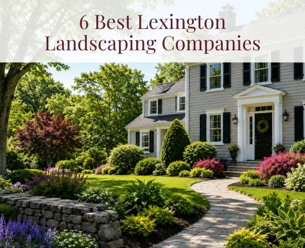 Lexington, MA Landscaping Companies: 6 Best Compared (2026)