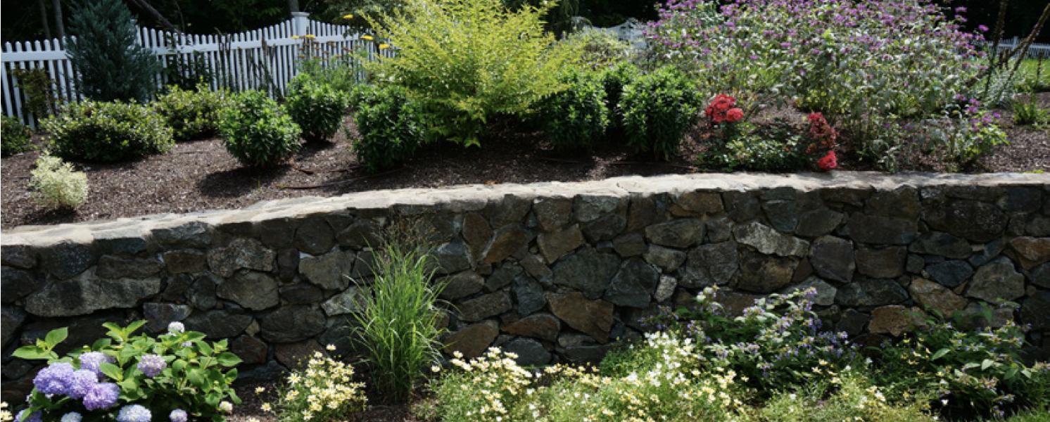 How to Maintain Your Landscape and Transform It Into a Beauty You’ll Love