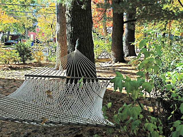 contemplation-area-with-hammock.jpg