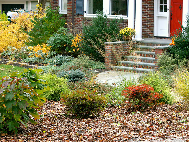 Extending Your Fall Bloom Time for An Attractive Yard - Even in Cold Weather