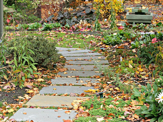 fall-landscape-walkway