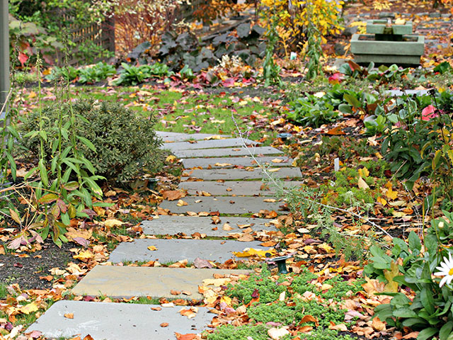 3 Tips for Fall Season Planting in Massachusetts