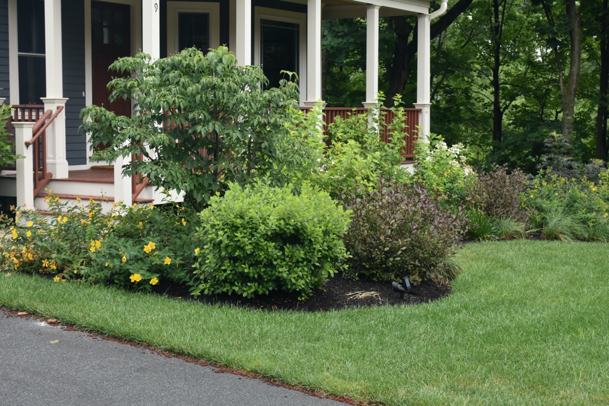 7 Tips for Hiring a Professional Landscaper