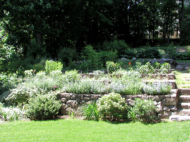 using stones in landscaping