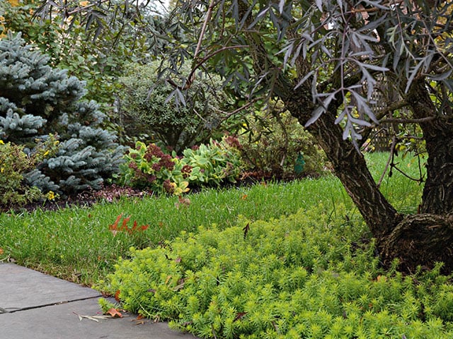 The Best Garden Landscaping Tips Every Homeowner Wants to Know