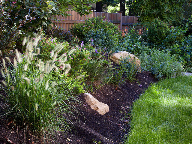Planting Grasses in the Fall for Year-Round Interest