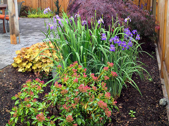 patio-garden-with-color-and-texture.jpg