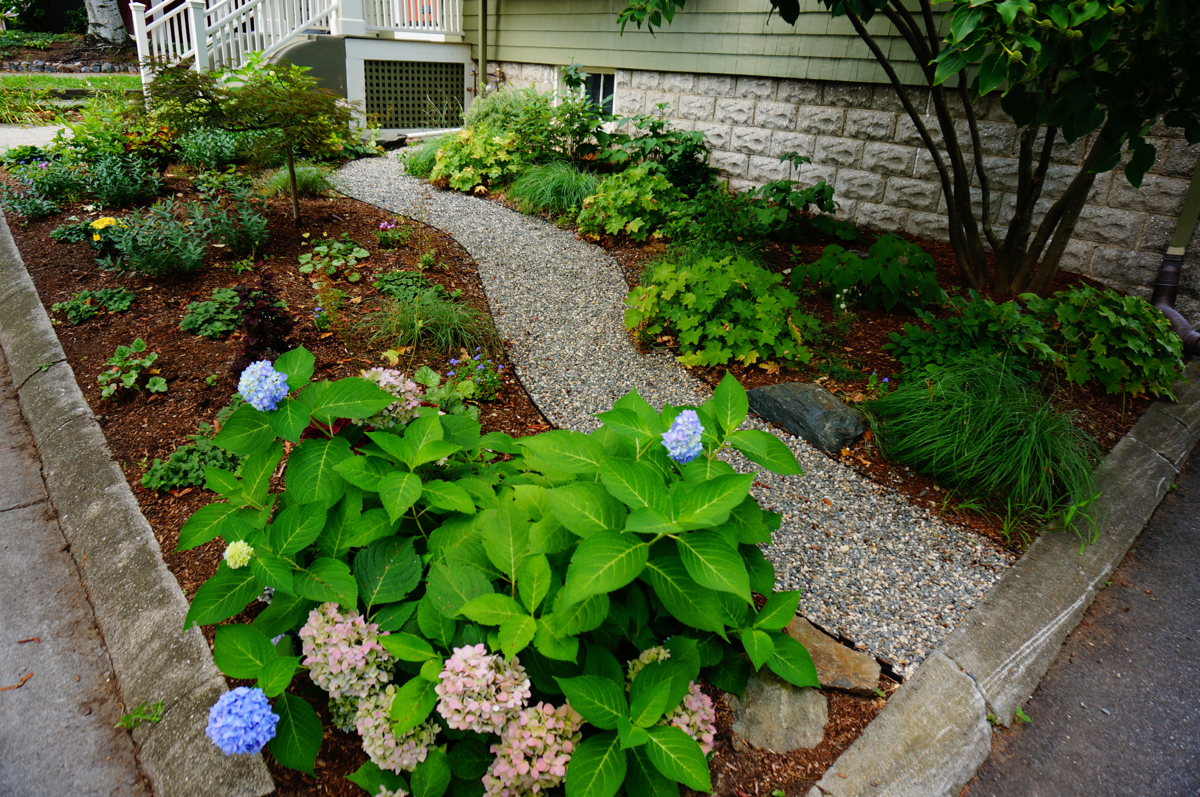 landscape garden front yard