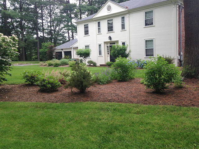 How and Why to Minimize Your Lawn in Massachusetts