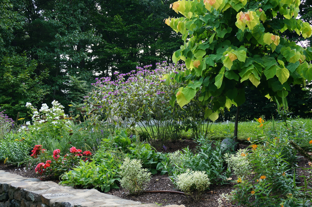 backyard landscape flowers sustainable