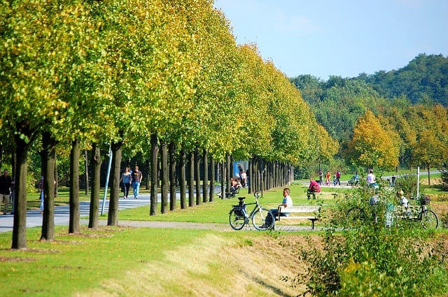 nordsternpark-346283_640.jpg